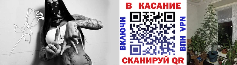 Где купить Новоалександровск Cocaine  ГАШ  Бошки Шишки 