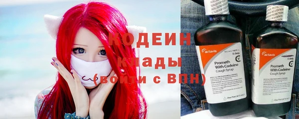 шишки Гусев