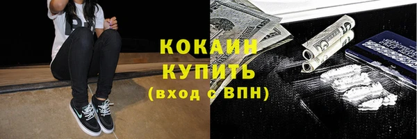 шишки Гусев