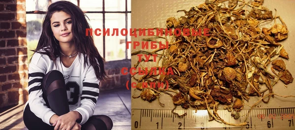 МДПВ Дмитровск