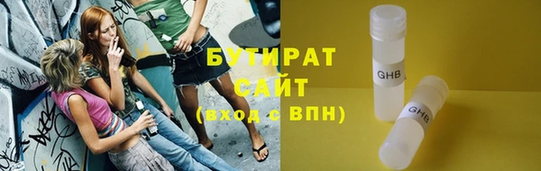 шишки Гусев