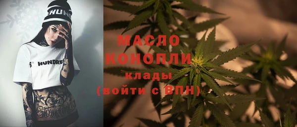 шишки Гусев