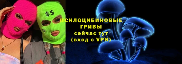 таблы Гусь-Хрустальный