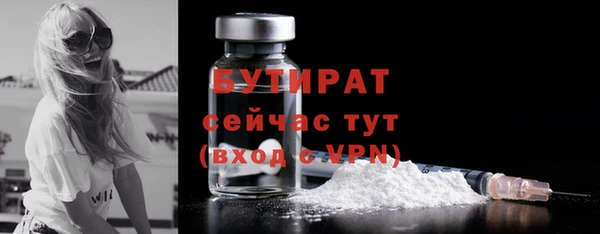 шишки Гусев