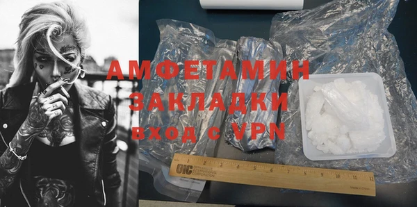 шишки Гусев