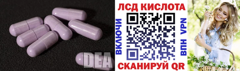 ЛСД экстази ecstasy  ОМГ ОМГ онион  Новоалександровск  цена  