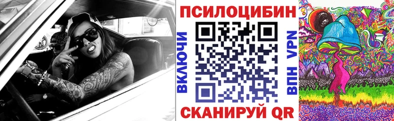Галлюциногенные грибы Magic Shrooms  купить наркоту  Новоалександровск 